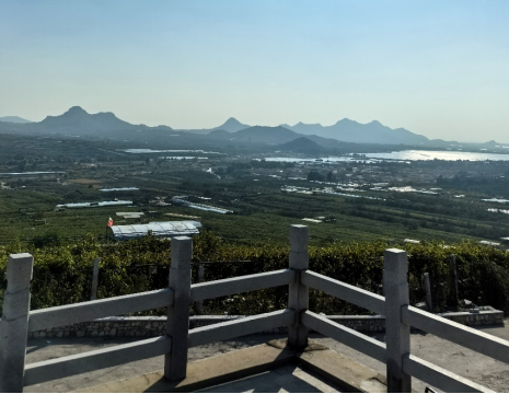 平度大澤山葡萄園引進(jìn)萊恩德土壤肥料檢測儀， 輕松掌握土壤營養(yǎng)